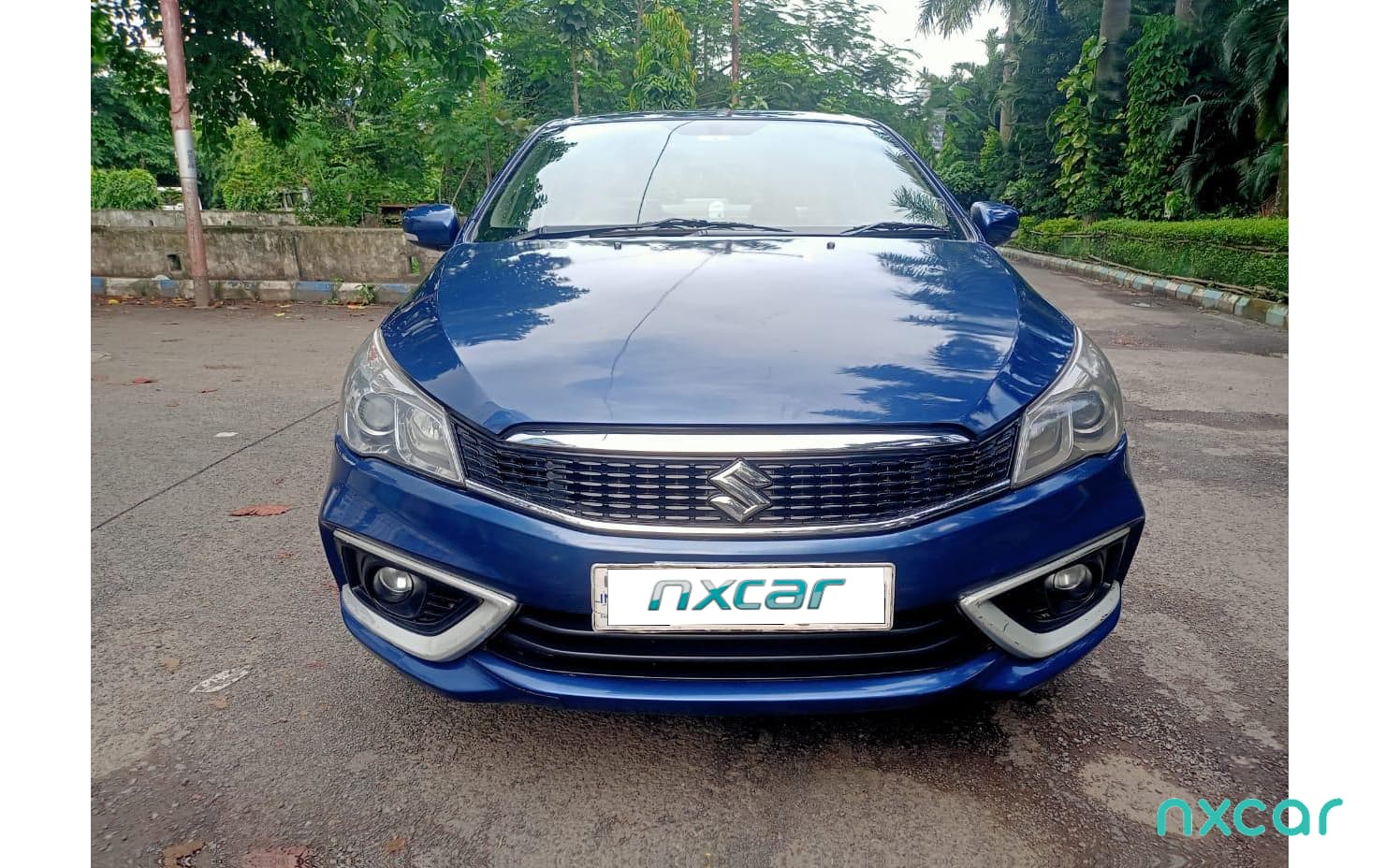 Maruti Suzuki Ciaz